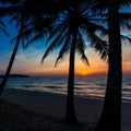 Nice sunset. Tropical sunset Royalty Free Stock Photo