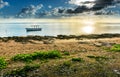 Plaine Corail Seashore - Rodrigues Island - Mauritius Royalty Free Stock Photo