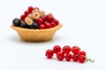 Nice tartlet with red and black currant isolated on white background close up macro Royalty Free Stock Photo