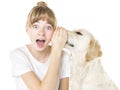 Nice teen woman and her beautiful Golden Retriever dog over white background Royalty Free Stock Photo