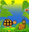 Nice terrapin and snail in herb