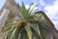 Nice, 6th september: Historic Building with Palm tree details on Downtown in Nice France