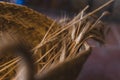 Nice thatch basket on tiled floor with wheat flowers in it Royalty Free Stock Photo