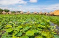 Tonle sap sea in Cambodia Asia Royalty Free Stock Photo