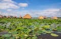 Tonle sap sea in Cambodia Asia Royalty Free Stock Photo