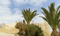 Nice tropical palm tree and stone wall against blue sky and cloud abstract background. Summer vacation and nature travel adventure Royalty Free Stock Photo