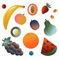 Nice vector set of colorful summer fruits and berries