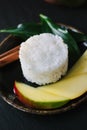 Nice vegetarian sticky rice with mango pieces.