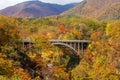 Nice view autumn foliage at Naruko Gorge Japan Royalty Free Stock Photo