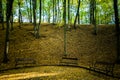 Nice view of an autumn forest with dead leaves on the ground and sun shining through the trees and three benches in front