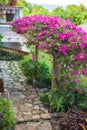 Nice view of flower garden in a cozy little hotel