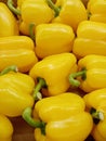 Yellow peppers in the market.