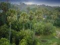 nice view from the jungle in burna above Royalty Free Stock Photo