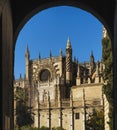 Nice view of Seville Cathedral frontal Royalty Free Stock Photo