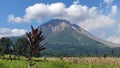 Nice view of sinabung mountain Royalty Free Stock Photo