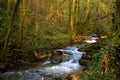 A nice view of a stream flowing between rocks forming small waterfalls Royalty Free Stock Photo