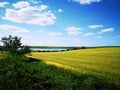 Nice view of summer landscape. Farm yellow fields. Ukraine.