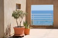 Nice view from the terrace of luxury villa house with sea coast blue and pot of mimosas and cactus like a frame Royalty Free Stock Photo