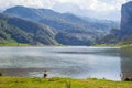 Nice views of Ercina Lake in Covadonga, Asturias, Spain, with a black dog taking a dip into it Royalty Free Stock Photo
