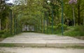 A nice walking path in the park Royalty Free Stock Photo