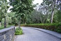 A nice walking path in the park Royalty Free Stock Photo