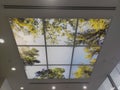 Nice wallpapered ceiling in singapore building