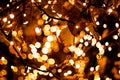 Nice warm white Christmas lights with blurred background. Royalty Free Stock Photo