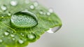 nice water drop theme for wallpaper Royalty Free Stock Photo