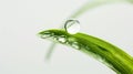 nice water drop theme for wallpaper Royalty Free Stock Photo