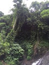 Waterfall in forest