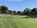 Approach shot of a golf hole with bunker, green and  trees Royalty Free Stock Photo