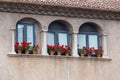 Nice windows with geranium flowers in a spanish town Gerona. Royalty Free Stock Photo