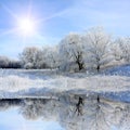 Nice winter lake scene