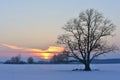 Nice winter sunset in Lithuania .