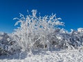 Nice wintry landscape background image