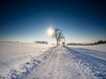 Nice wintry panorama background image Royalty Free Stock Photo