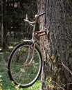 A nice and witty joke - What has happend ? - a bycicle is stranded in a tree