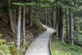 Nice wooden path of AigÃÂ¼estortes i Estany de Sant Maurici National Park in a Spanish Pyrenees mountain