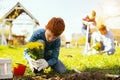 Nice young boy working outdoors Royalty Free Stock Photo