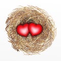 Nicely Built Bird Nest with Two Red Heart Royalty Free Stock Photo