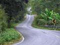 A nicely flowing mountain road in northern Thailand