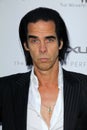 Nick Cave Royalty Free Stock Photo