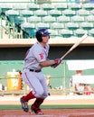 Nick Longhi, Greenville Drive Royalty Free Stock Photo