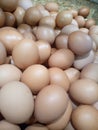 Nickname of this fresh brown eggs in indonesia is domestic chicken egg