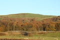 Nicky Nook near Scorton, Lancashire in autumn Royalty Free Stock Photo