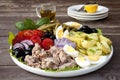 Nicoise salad Royalty Free Stock Photo