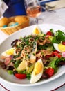 Nicoise Salad Royalty Free Stock Photo