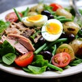 Nicoise Salad with Tuna, Eggs, Olives, and Fresh Vegetables