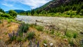 The Nicola River as it flows to the Fraser River along Highway 8 from the town of Merritt to the Fraser River at the town of Royalty Free Stock Photo