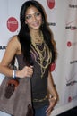 Nicole Scherzinger on the red carpet. Royalty Free Stock Photo